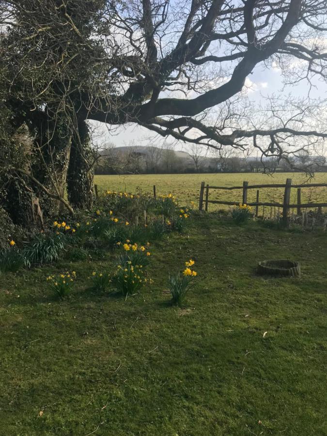 The Old Flower Field Hurstpierpoint Eksteriør bilde